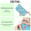 Blue Pattern Dish Drying Mat 18"x24" 2 Pack 4