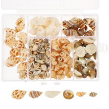 Natürliche Muscheln für Bastelarbeiten und Dekoration, verschiedene Farben, klein