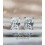 CZ Stud Earrings 18K White Gold Plated Sterling Silver 3