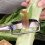 Stainless Steel Veggie Peeler with Non-Slip Handle 4
