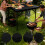Stretch Fit Polyester Tablecloth with Elastic Hem 3