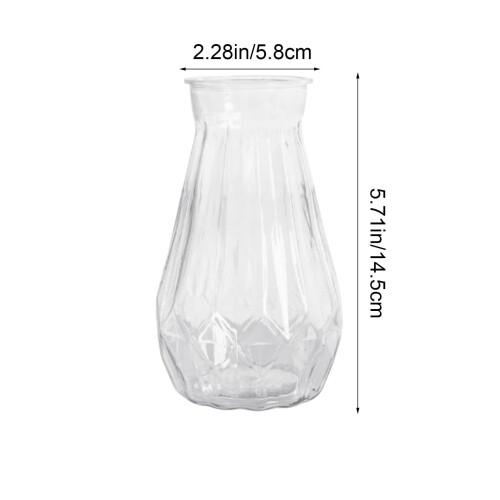 Vaso per piante idroponiche in plastica, da tavolo, 1 pezzo 2