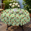 60 Inch Round Polyester Tablecloth 4