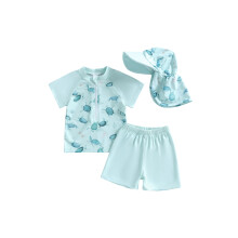 (12-24 Months, Green) Toddler Boys Rash Guard Swimsuits Short Sleeve Dinosaur Print Tops Shorts Hat Swimwear Three Piece Sets