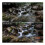 Lens Filter for  OSMO Action 5 Pro/4/3 ND/PL Light Reducing Polarising Filter Camera Accessories ND64/PL 6