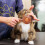 Dog & Cat Slicker Brush with Self-Cleaning Button, 140 4