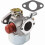 Carburetor Replacement for Craftsman 247.795850 Chipper 1