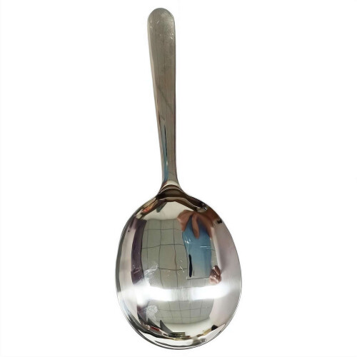 Stainless Steel Serving Spoon 19.2 cm