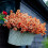 Faux Orange Mums Artificial Fall Flowers – 1 Pack 5