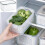 Transparent PP Food Storage Box with Drain Basket (Medium) 3