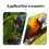 Koperen Papegaai Fruithouder Clip 3-pack 5