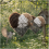 Heart-Shaped Bird Nesting Aid – Refillable, 2-Pack with 1
