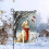 Christmas Winter Garden Flag 12x18in Polyester Multicolor 5