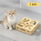 Caja de rompecabezas para mascotas de interior con bolas de colores 1