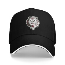 Boné de beisebol da Universidade de Campbellsville, unissex, tamanho único.