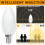 HIBIBUD Schemeringslamp E14/E27 60W 4