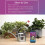 Hydroponic Houseplant Liquid Fertiliser 1L 6