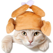 Hoofdband in de vorm van een kalkoenpoot voor katten en kleine honden
