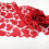 Red Lace Table Runner 35x183cm for Valentine's Day Wedding 3