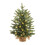 18in Pre-Lit Artificial Christmas Tree with Warm White 1