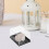 4-Pack Clear Plastic Specimen Display Boxes 5.5 x 4.1 x 3.2 5