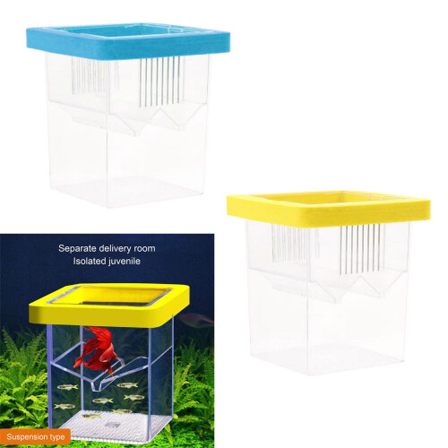 Akvarium avlsboks for isolering av gravide fisk 1