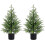 2FT Real-Touch Norfolk Pine Topiary Tree with Black Pot 1