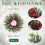 Mini Norfolk Pine Wreath – 3" Real-Touch Christmas Decor 3