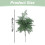 Artificial Cedar Stem 16-20in for Vases 3