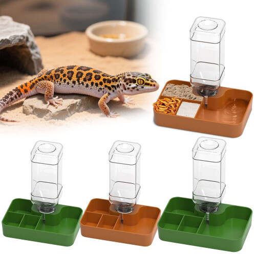 Hrănitoare pentru reptile dreptunghiulară, din plastic, cu mai multe compartimente 2