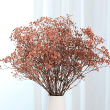 Dried Baby's Breath Bouquet – 17", 2500+ Ivory Gypsophila Branches for Wedding, Home, DIY Wreath & Fall Decor (Brown, 3oz)