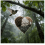 Handmade Fiber Bird Nesting Heart – Refillable, 6.7" 1