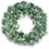 24 inch Artificial Eucalyptus Wreath with Frosted Tips 1