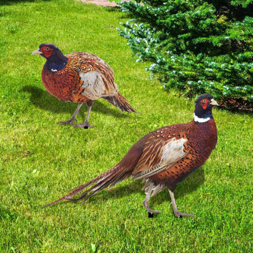 Ensemble de 2 piquets décoratifs pour jardin en forme de faisan 2
