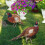 Ensemble de 2 piquets décoratifs pour jardin en forme de faisan 6