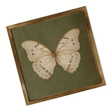 Cuadro decorativo de mariposas para pared, lienzo con marco.