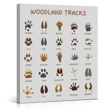 Waldmotiv-Leinwandposter – Kunst mit Tierspuren aus dem Dschungel