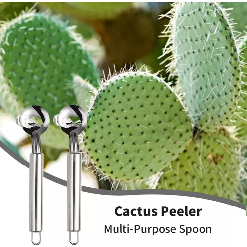 Stainless Steel Cactus Peeler Spoon 3 pcs 2