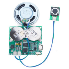 Προγραμματιζόμενη μονάδα φωνής USB με αισθητήρα φωτός, 8MB