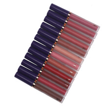 Set di rossetti liquidi opachi 12 colori 12x2g