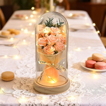 Preserved Rose Bouquet in Glass Dome – Forever Flowers Gift for Her, Mom, Wife, Grandma – Compatible with Anniversary, Birthday, Mother's Day