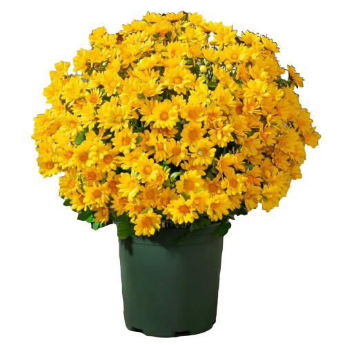 Bouquet di girasoli artificiali per decorazione esterna, 5 steli