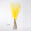 Gais Féir Pampas do Vásaí, 10 phíosa, 55cm, Céimnithe 2