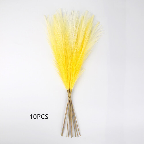 Gais Féir Pampas do Vásaí, 10 phíosa, 55cm, Céimnithe 1