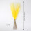 Gais Féir Pampas do Vásaí, 10 phíosa, 55cm, Céimnithe 3