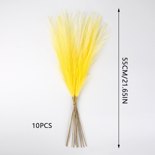 Gais Féir Pampas do Vásaí, 10 phíosa, 55cm, Céimnithe 2