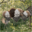 Handmade Alpaca Fiber Bird Nesting Hearts 3 Pack 1