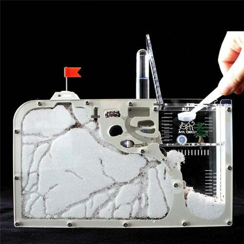 Ant Castle  Kit with Water Tower - Educational Ecological Box for Observing Ant Empire, STEAM Learning Tool 2