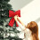 Black Sequin Christmas Bow Ornament 1
