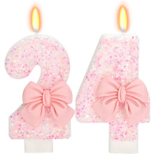 Pink Bow Number 24 Birthday Cake Candle